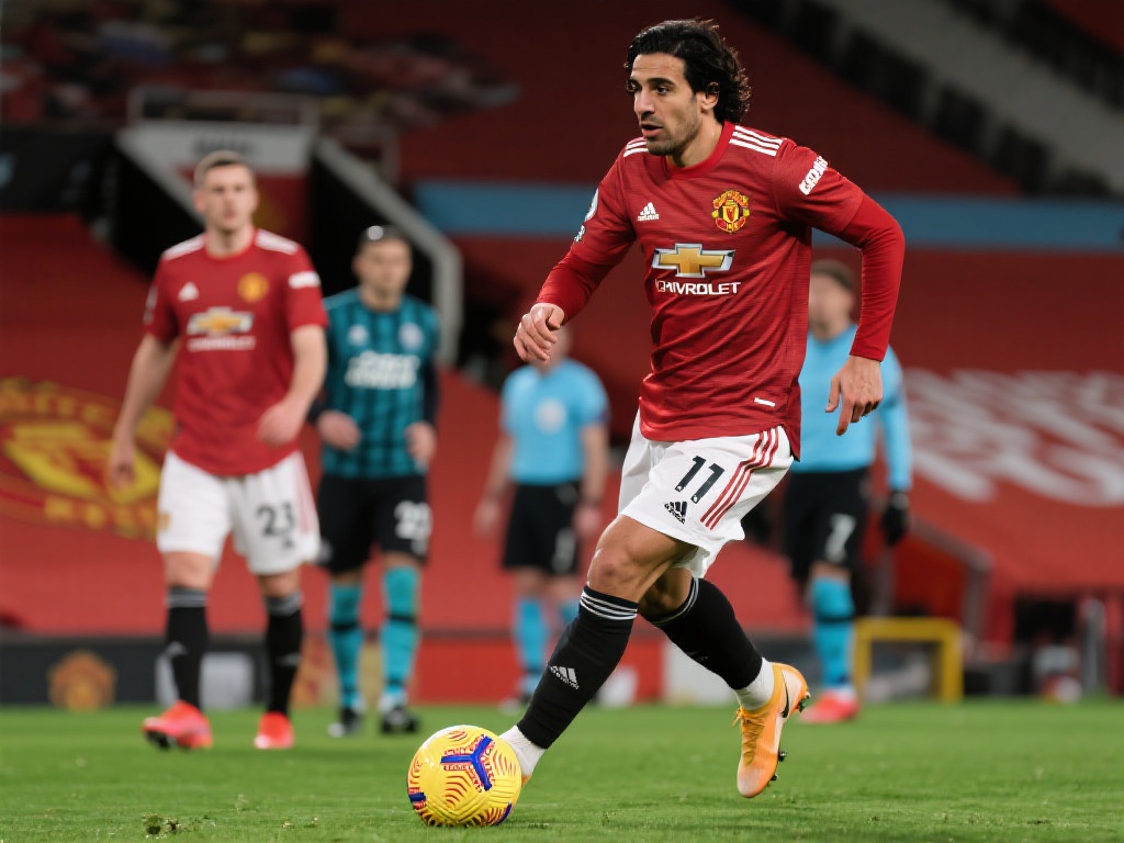 家队正式公 家队正式公