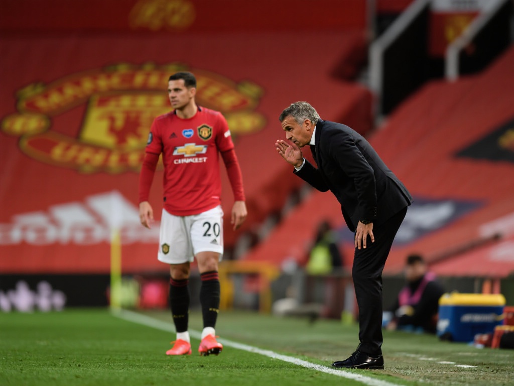 都可能成为 都可能成为